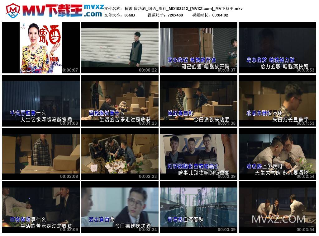 杨娜-庆功酒_国语_流行_MD103212